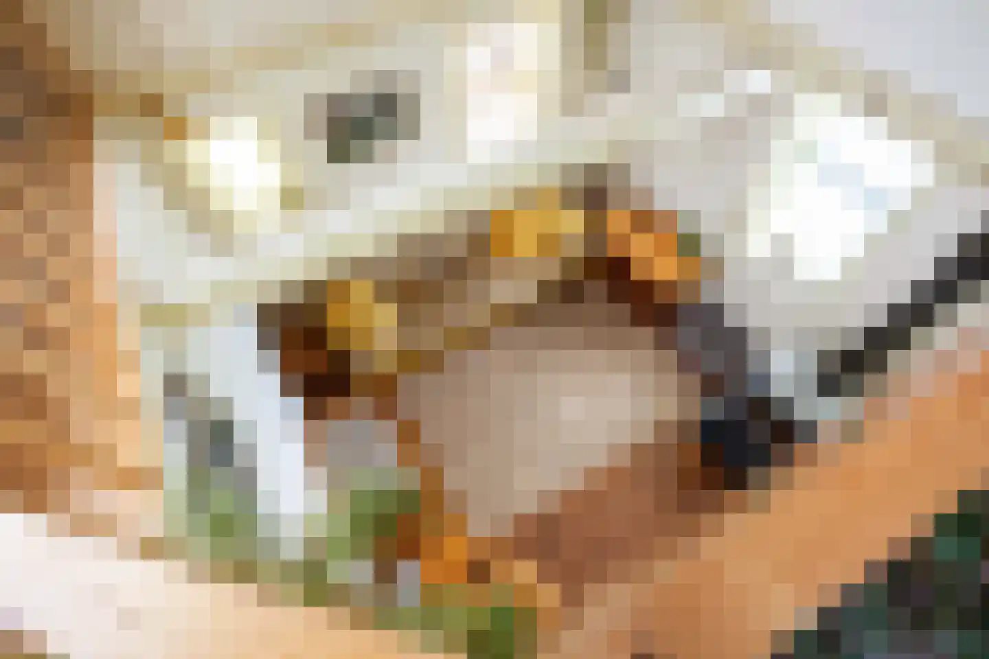 Julianatocht 1 Kloosterburen thumbnail 23