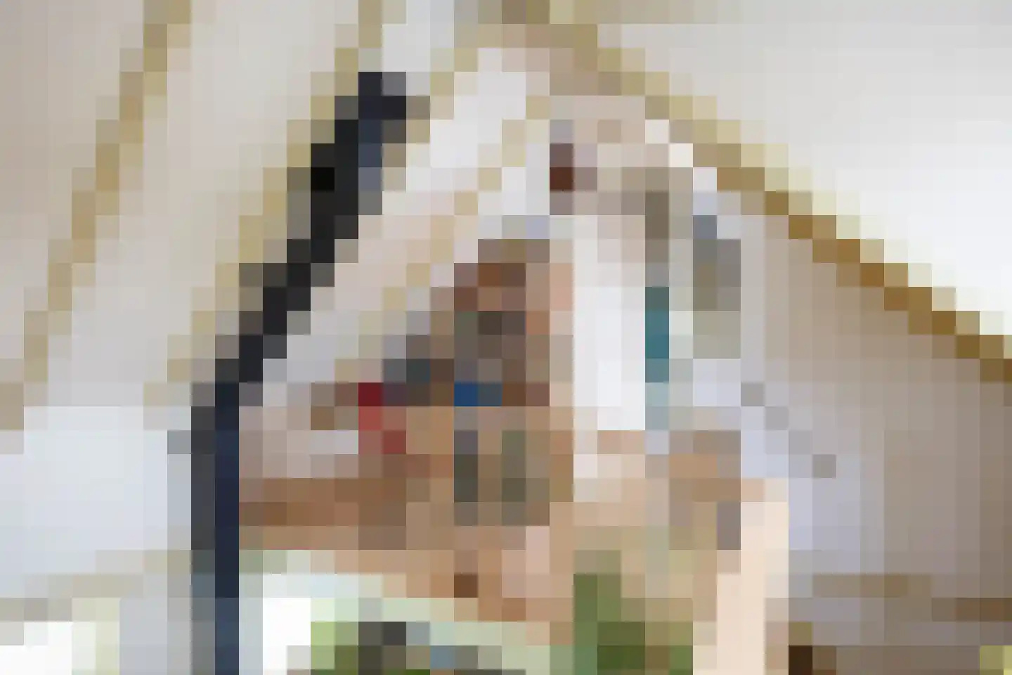 Julianatocht 1 Kloosterburen thumbnail 24