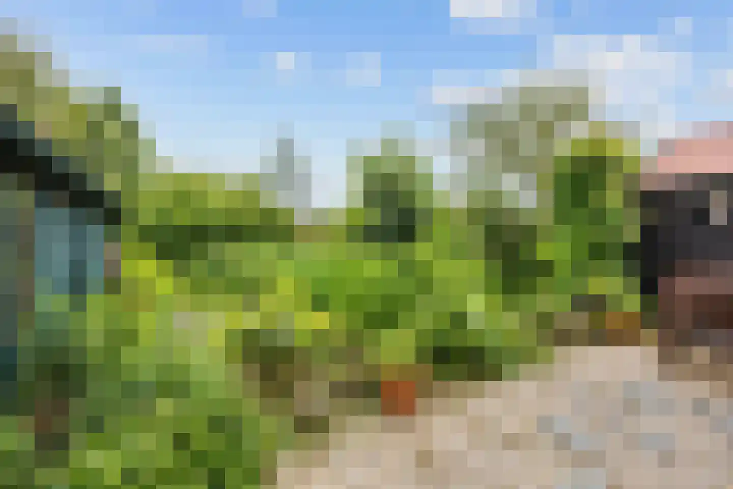Julianatocht 1 Kloosterburen thumbnail 28