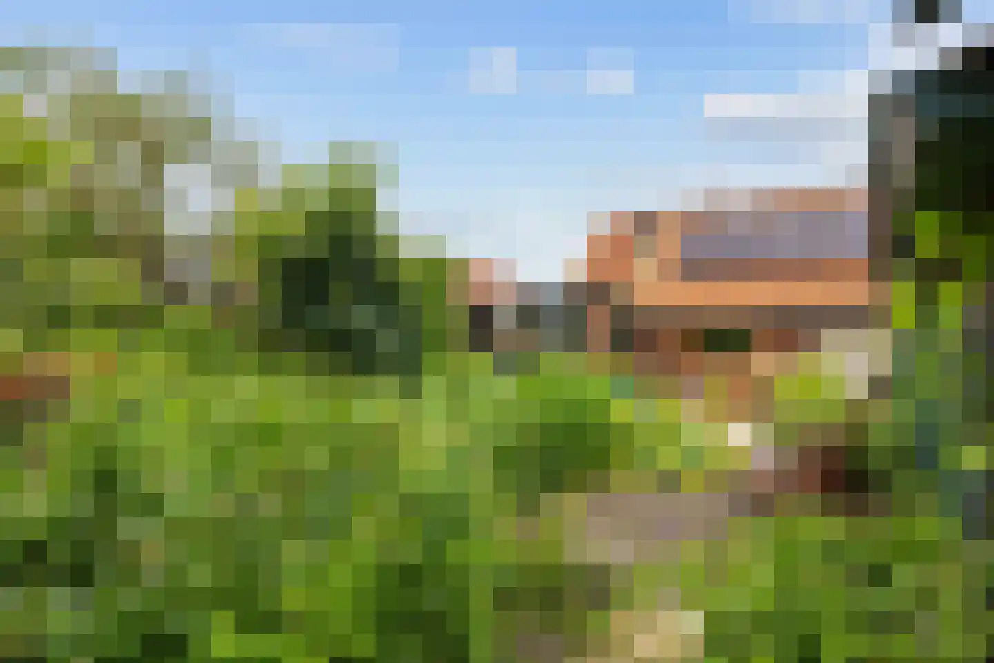Julianatocht 1 Kloosterburen thumbnail 32