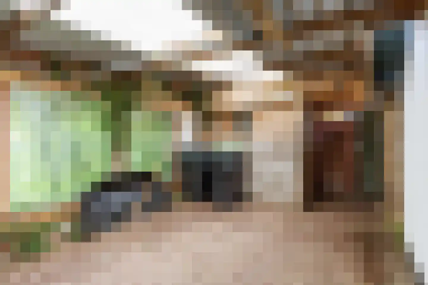 Julianatocht 1 Kloosterburen thumbnail 34