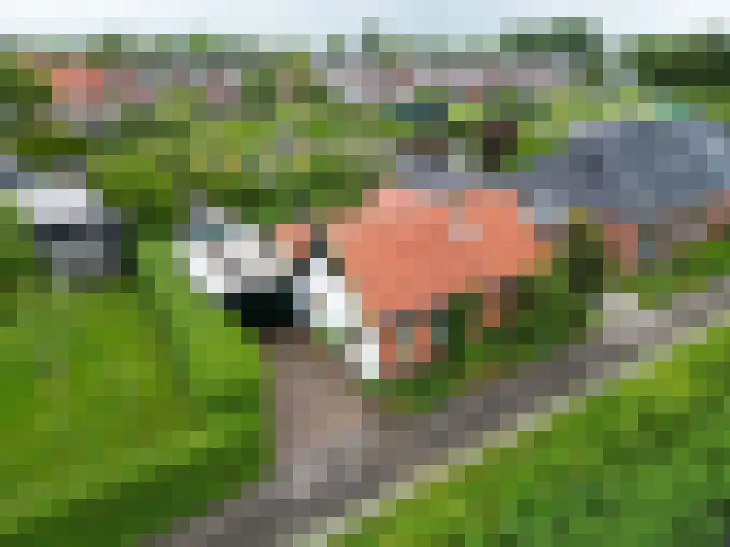 Julianatocht 1 Kloosterburen thumbnail 38