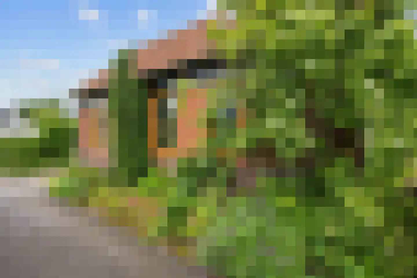 Julianatocht 1 Kloosterburen thumbnail 4