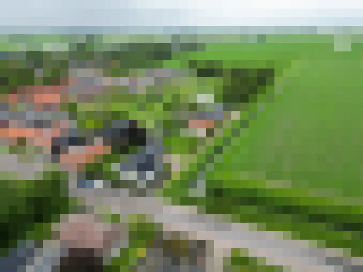 Julianatocht 1 Kloosterburen thumbnail 40