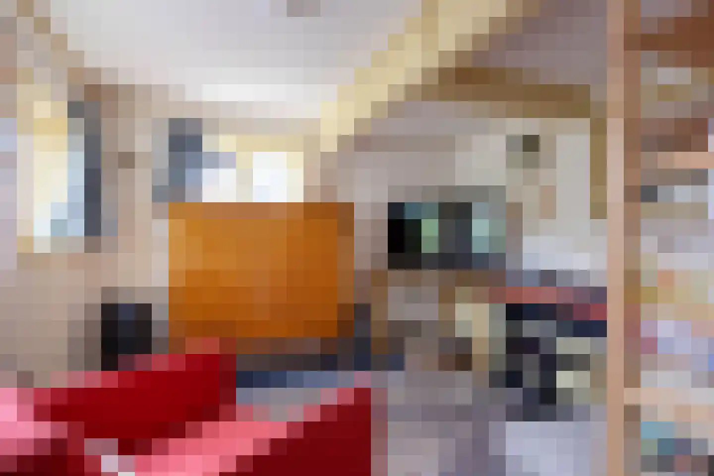 Julianatocht 1 Kloosterburen thumbnail 8