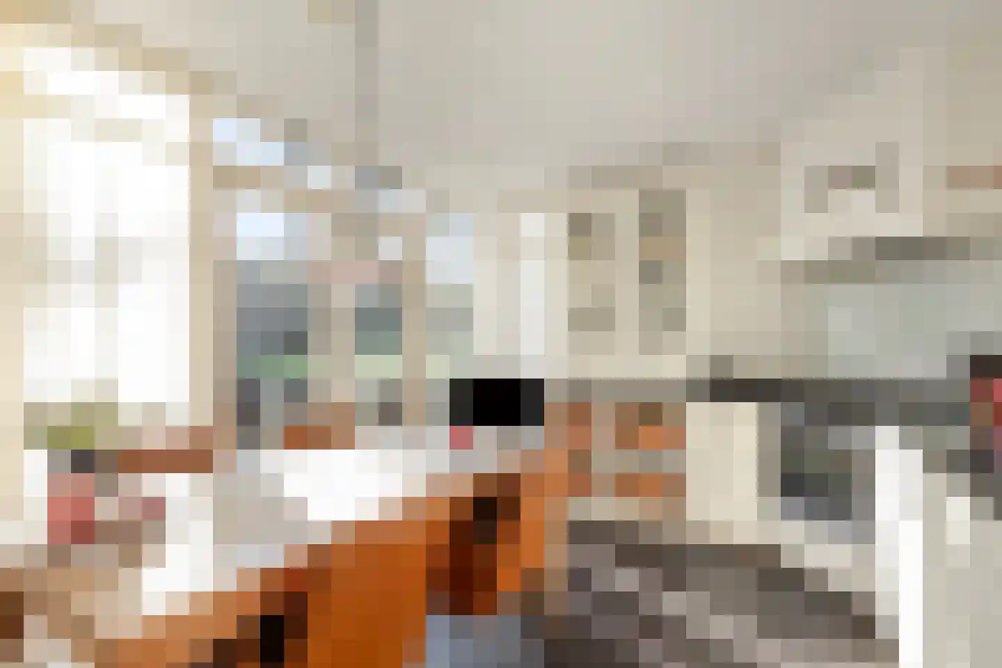 Julianaweg 1 Oosterbeek thumbnail 25