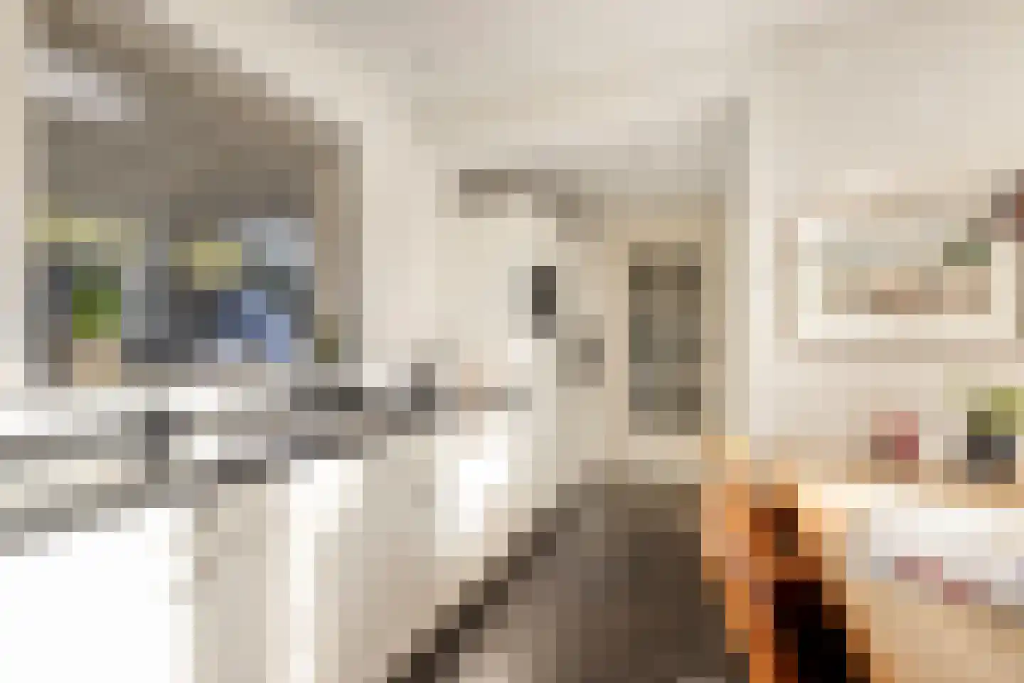 Julianaweg 1 Oosterbeek thumbnail 26