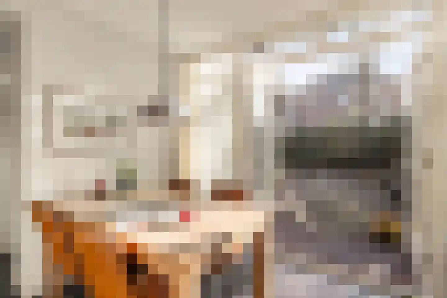 Julianaweg 1 Oosterbeek thumbnail 27