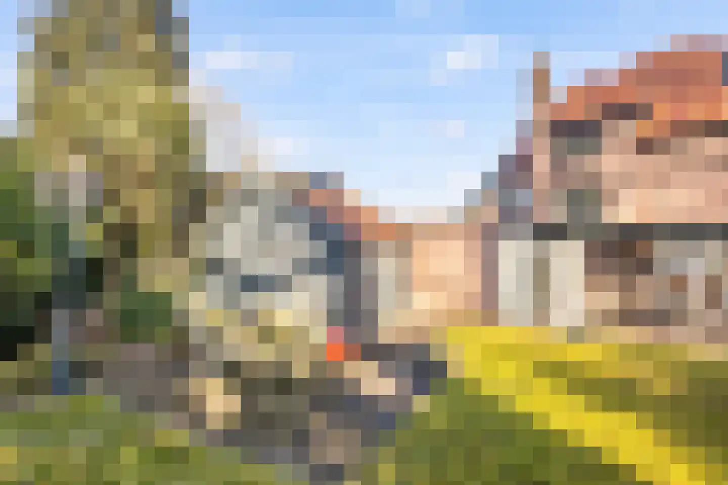 Julianaweg 1 Oosterbeek thumbnail 31