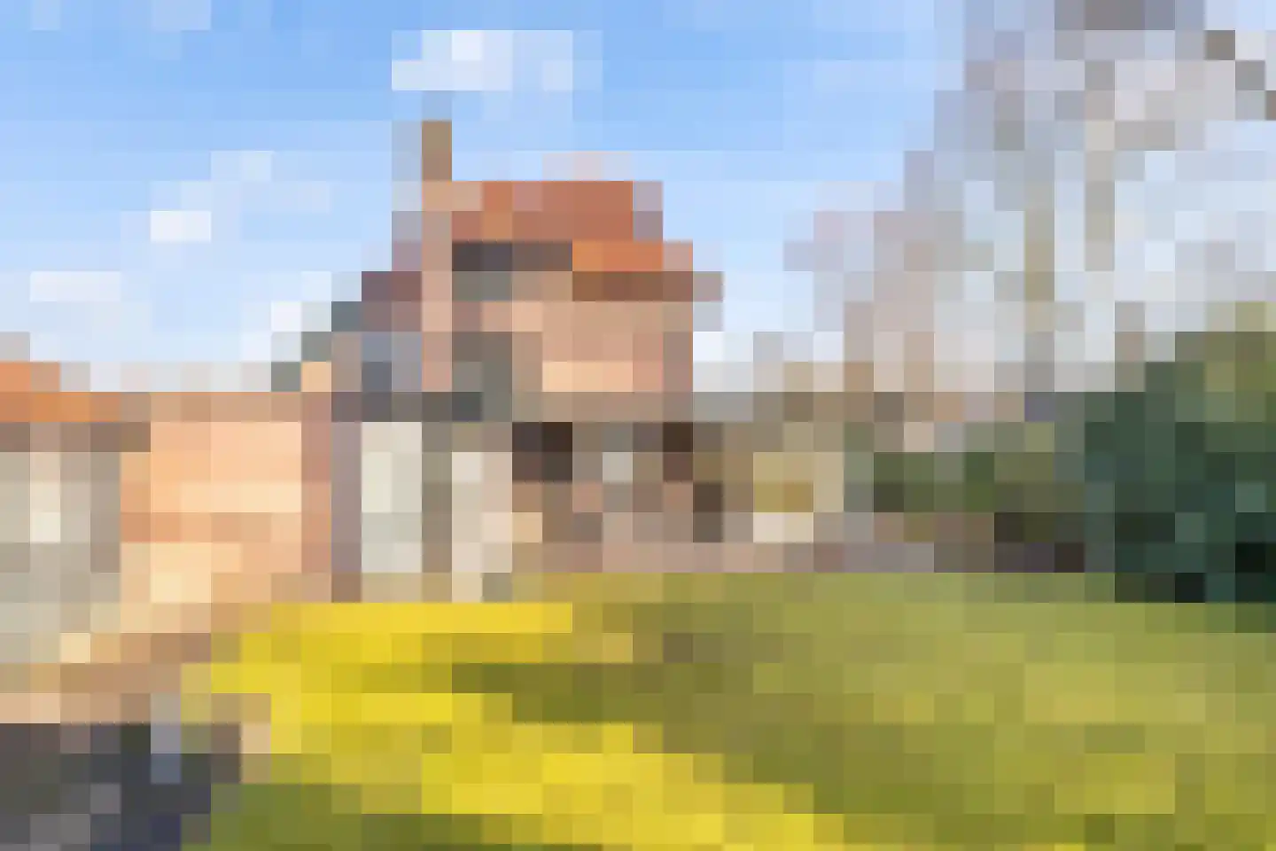 Julianaweg 1 Oosterbeek thumbnail 32
