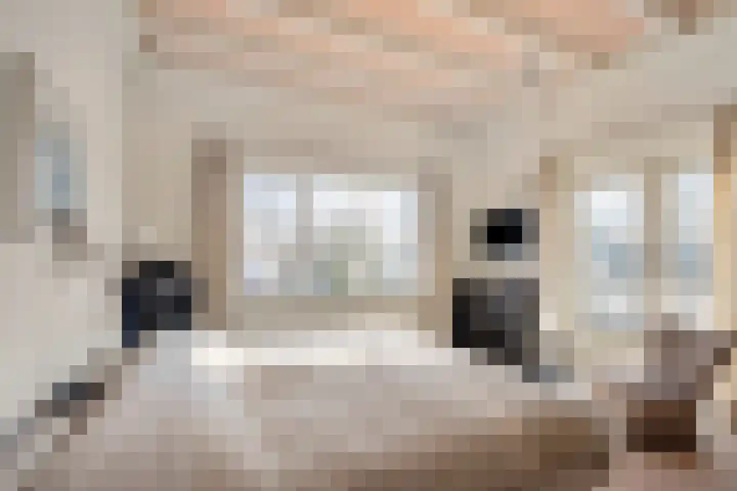 Julianaweg 1 Oosterbeek thumbnail 40