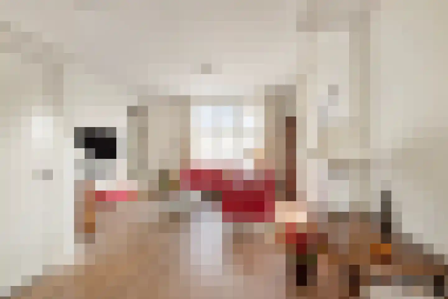 Julianaweg 1 Oosterbeek thumbnail 8