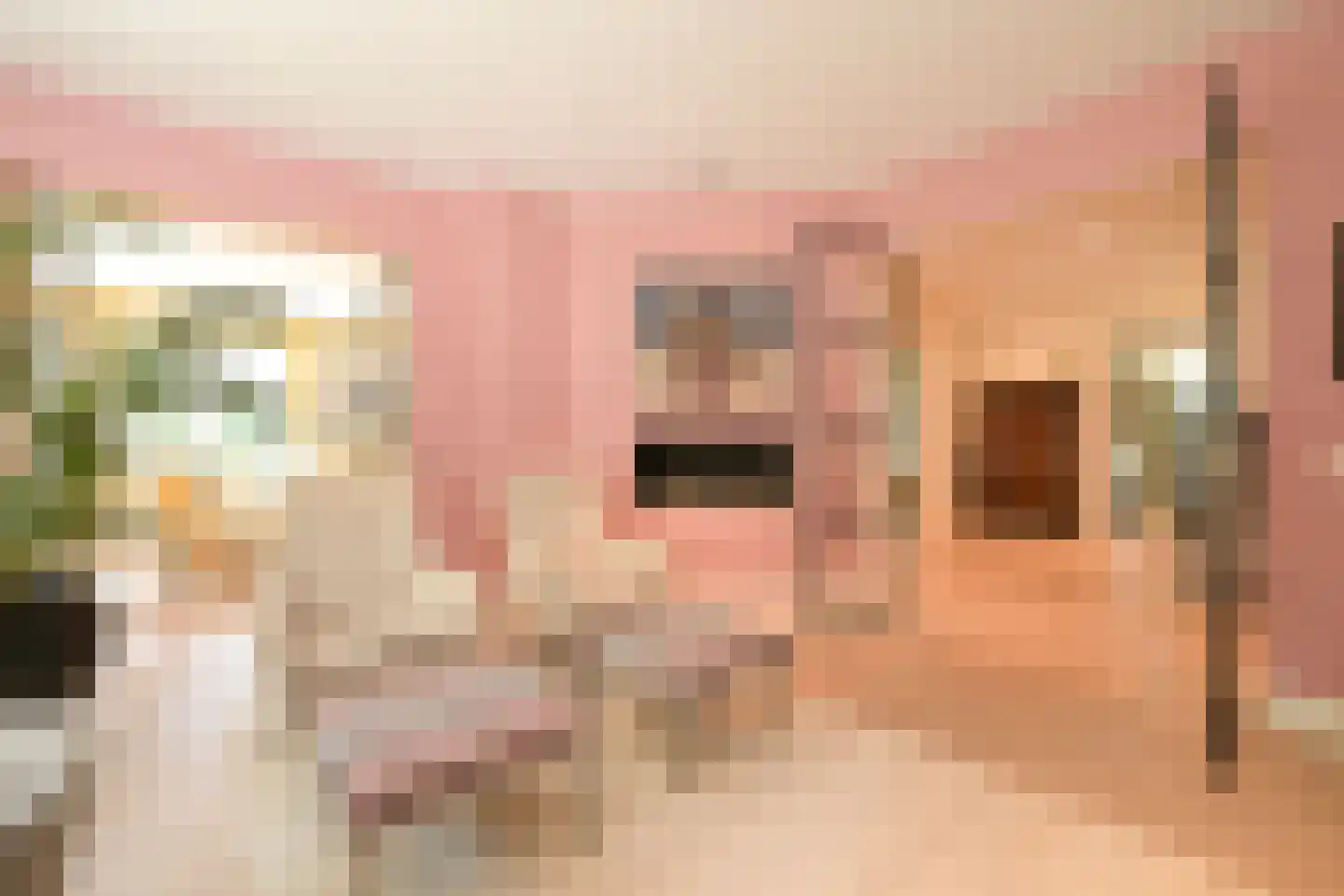 Julianaweg 10 Wassenaar thumbnail 11