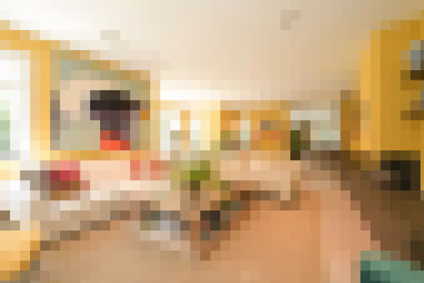 Julianaweg 10 Wassenaar thumbnail 13