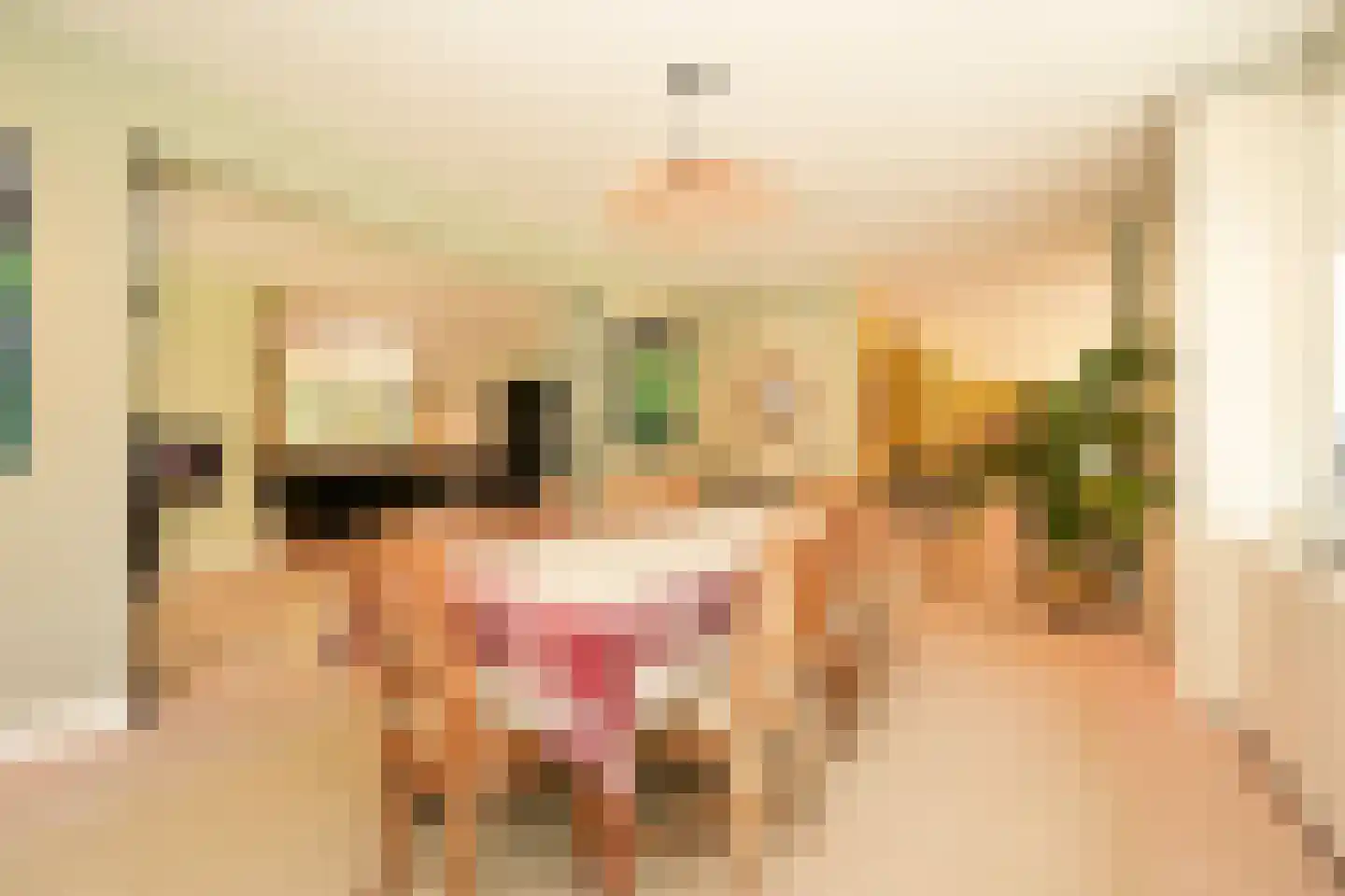Julianaweg 10 Wassenaar thumbnail 14