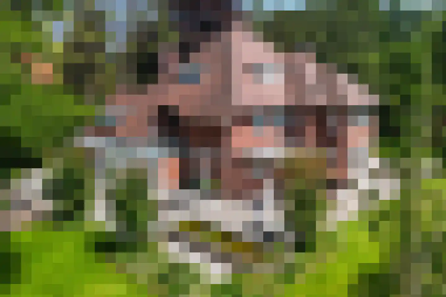 Julianaweg 10 Wassenaar thumbnail 45