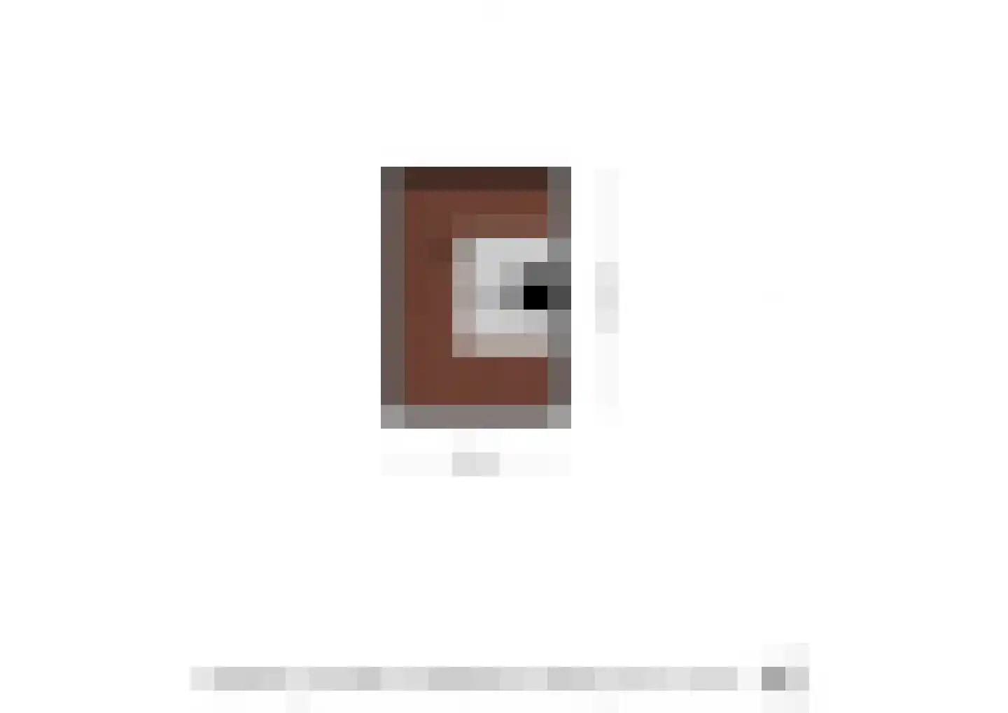 Julianaweg 10 Wassenaar thumbnail 52