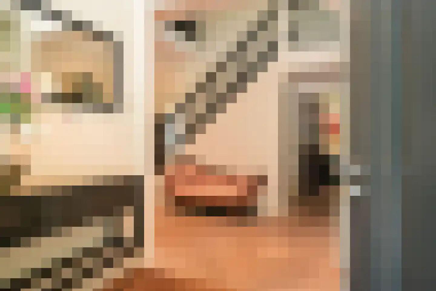 Julianaweg 10 Wassenaar thumbnail 7
