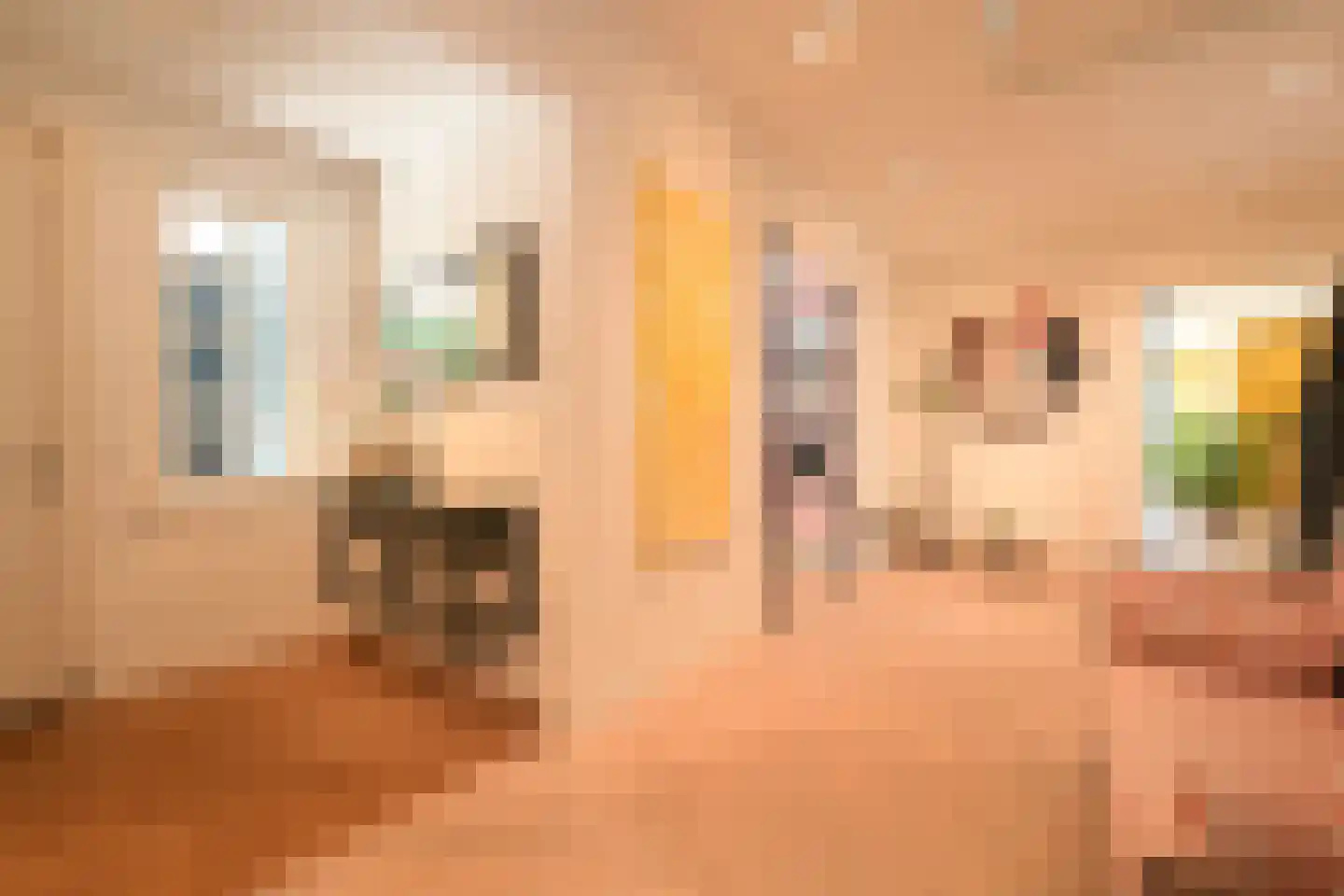 Julianaweg 10 Wassenaar thumbnail 8