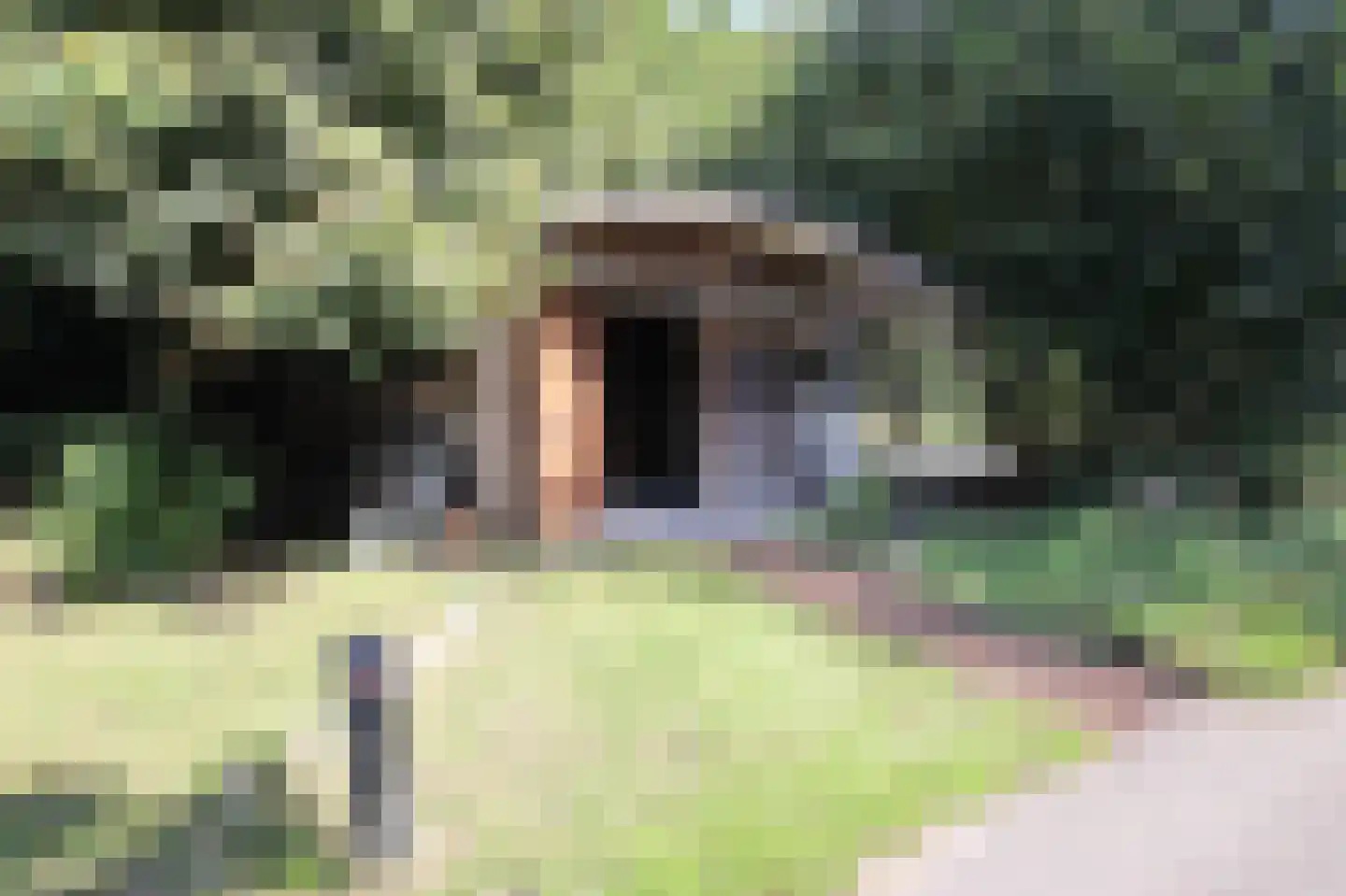 Julianaweg 1001 Groningen thumbnail 23