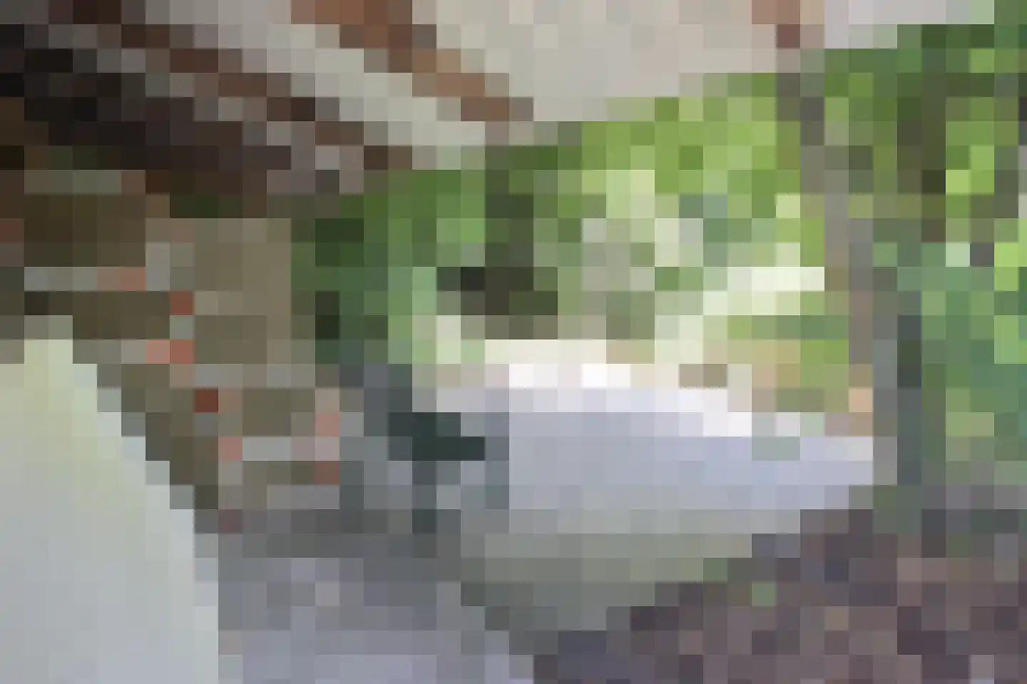 Julianaweg 1001 Groningen thumbnail 25