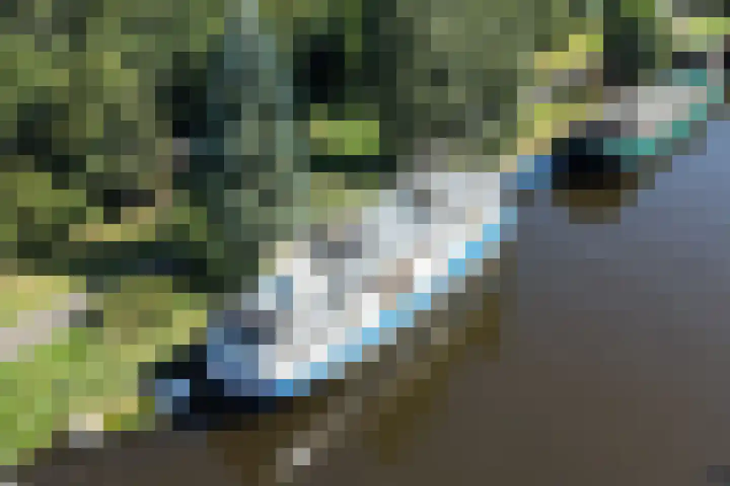 Julianaweg 1001 Groningen thumbnail 28