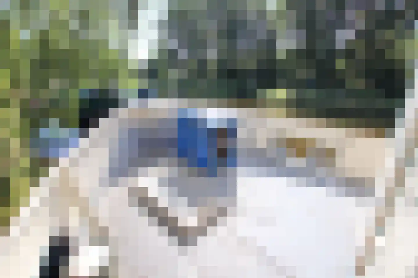 Julianaweg 1001 Groningen thumbnail 33