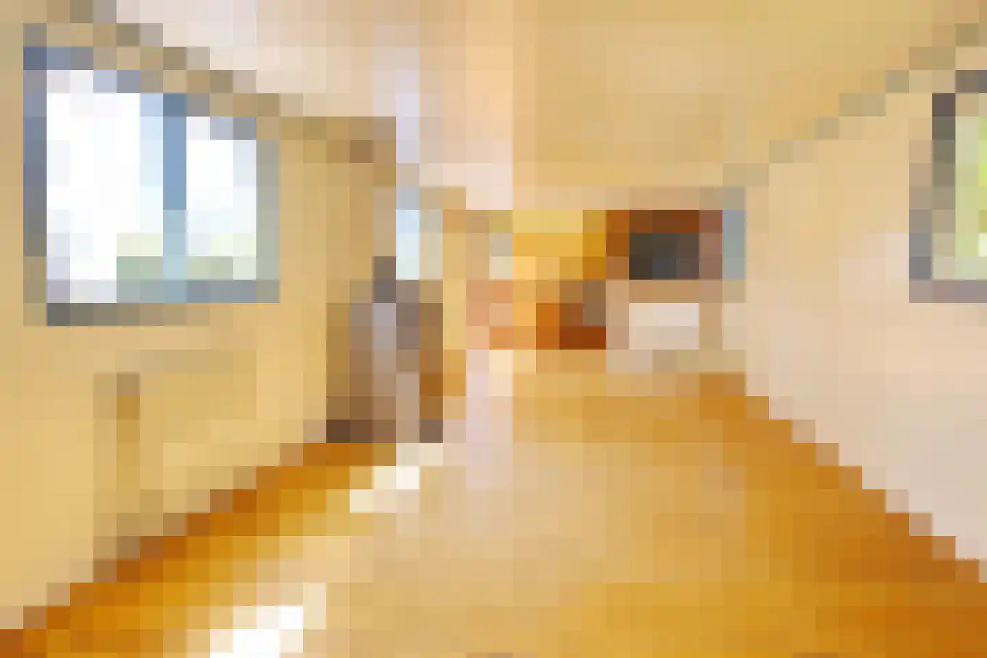 Julianaweg 1001 Groningen thumbnail 7