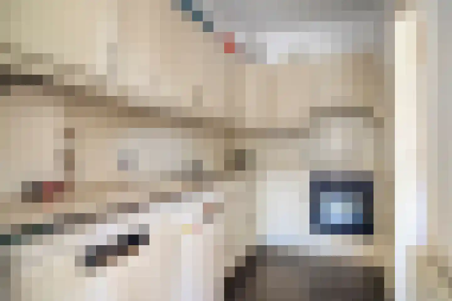Julianaweg 11 Nieuwegein thumbnail 18