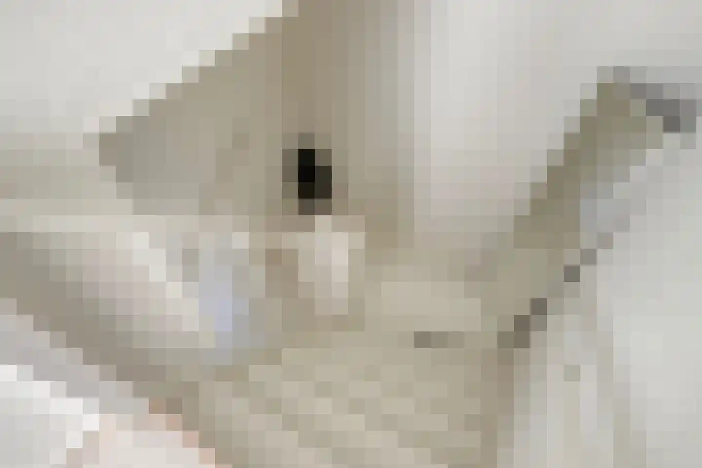 Julianaweg 11 Nieuwegein thumbnail 22