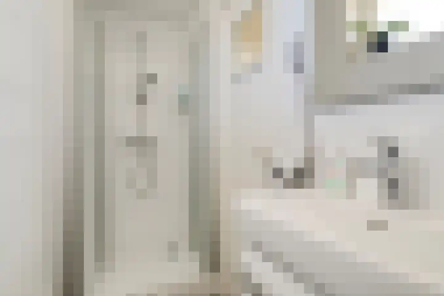 Julianaweg 11 Nieuwegein thumbnail 33