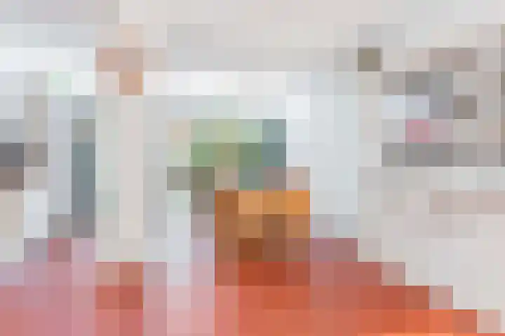 Julianaweg 113 Utrecht thumbnail 11