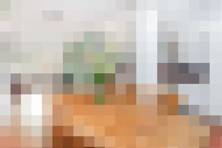 Julianaweg 113 Utrecht thumbnail 13