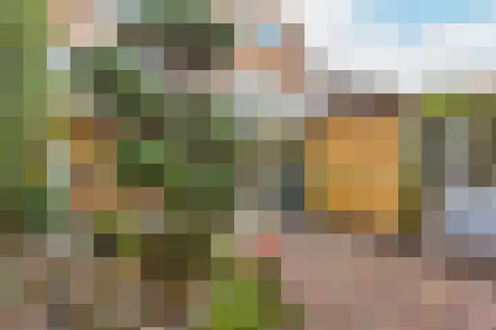 Julianaweg 113 Utrecht thumbnail 21