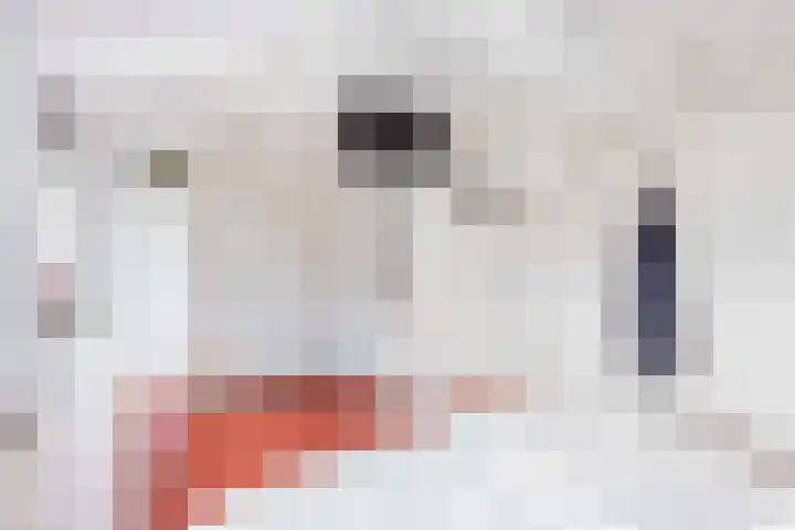 Julianaweg 113 Utrecht thumbnail 28