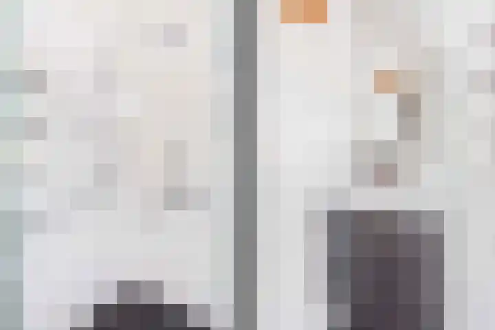 Julianaweg 113 Utrecht thumbnail 35