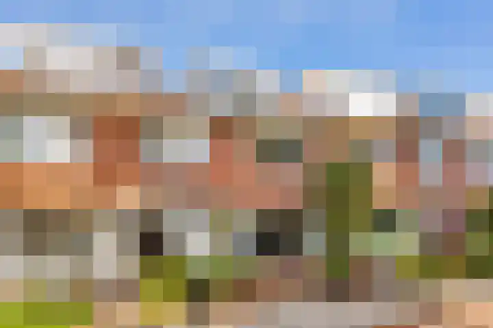 Julianaweg 113 Utrecht thumbnail 44