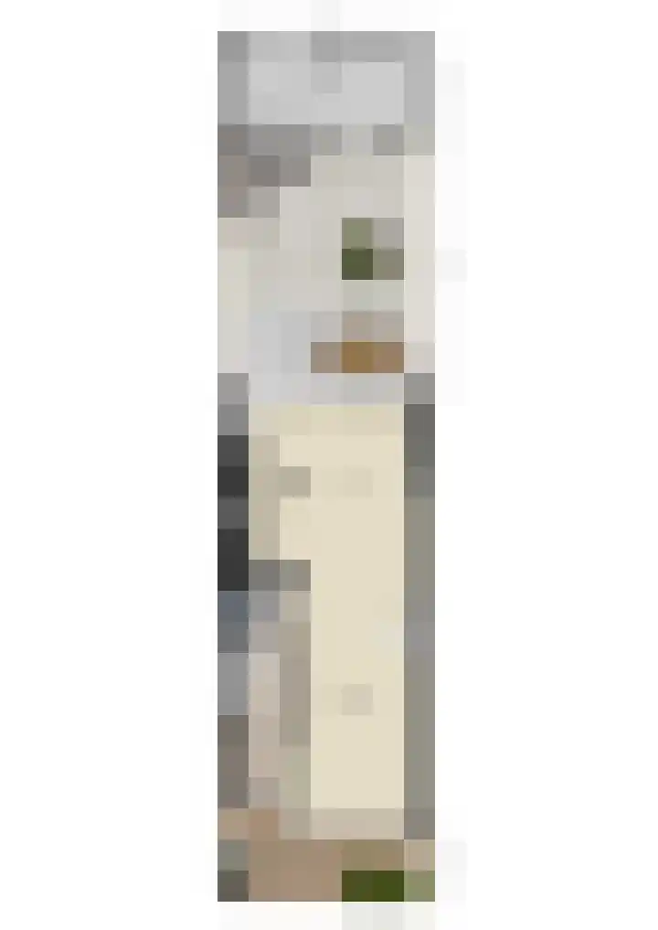 Julianaweg 113 Utrecht thumbnail 48