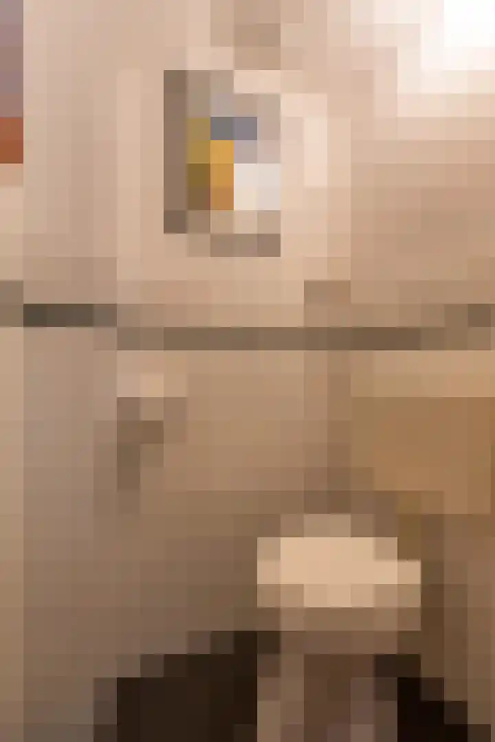 Julianaweg 118 Utrecht thumbnail 25