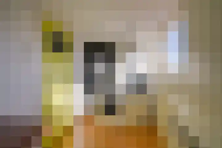 Julianaweg 118 Utrecht thumbnail 44