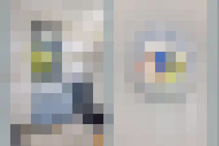 Julianaweg 124 Utrecht thumbnail 11