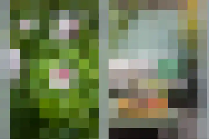 Julianaweg 124 Utrecht thumbnail 21