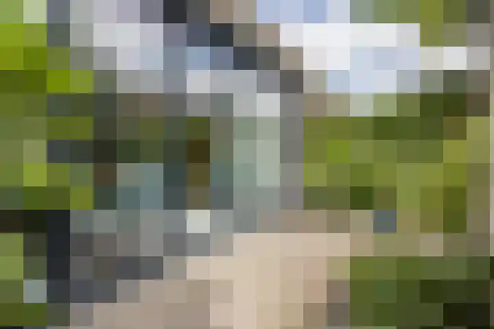 Julianaweg 124 Utrecht thumbnail 23