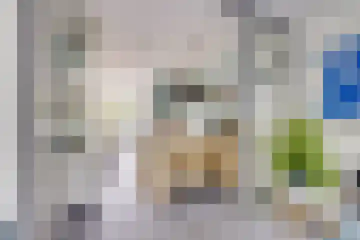 Julianaweg 124 Utrecht thumbnail 29