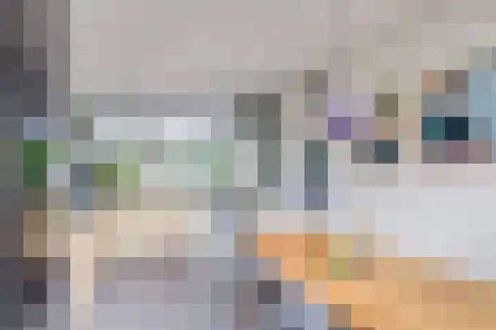 Julianaweg 124 Utrecht thumbnail 32