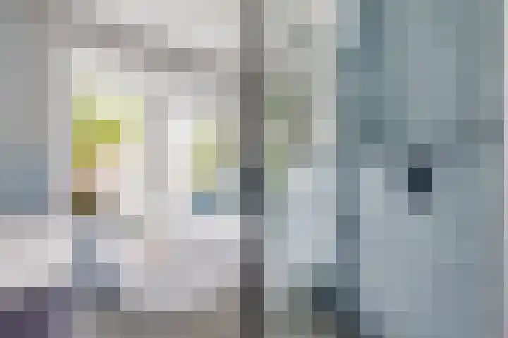 Julianaweg 124 Utrecht thumbnail 47