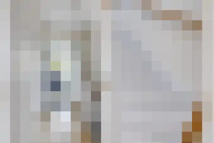 Julianaweg 124 Utrecht thumbnail 49