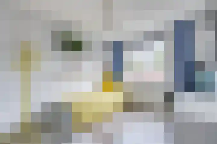 Julianaweg 124 Utrecht thumbnail 54