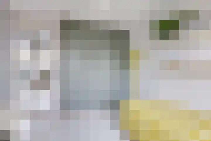 Julianaweg 124 Utrecht thumbnail 56