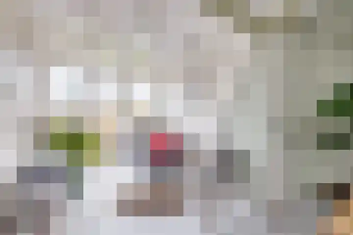 Julianaweg 124 Utrecht thumbnail 6